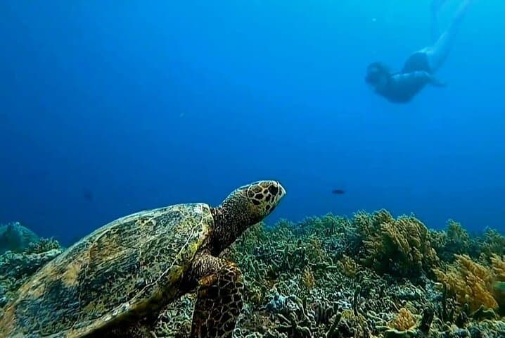 Private Snorkeling Trip to the Three Gili Islands from Lombok photo 2