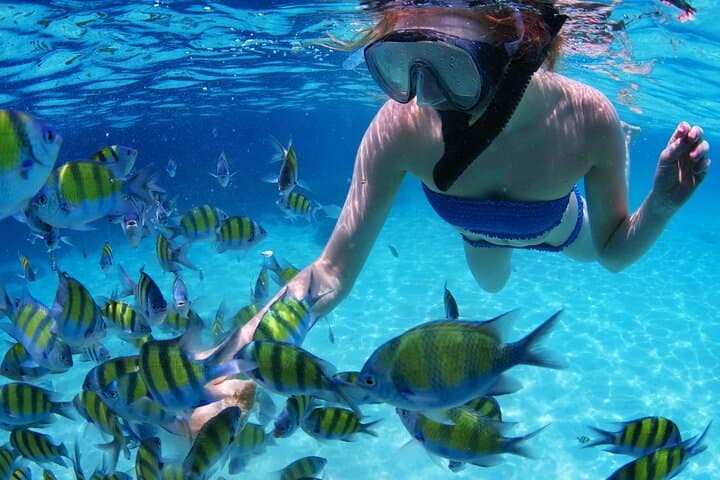 Punta Cana Coral Reef Snorkeling: Guided Snorkel Tour