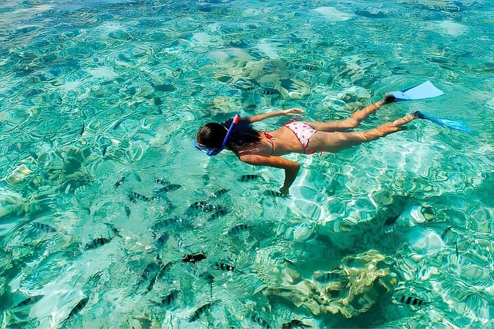 Punta Cana Coral Reef Snorkeling: Guided Snorkel Tour photo 3