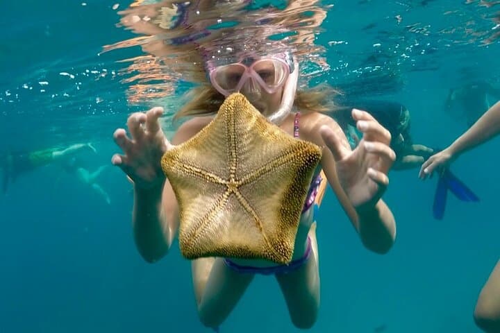 Waikiki Turtle Canyon Snorkel: 90-Minute Catamaran to Swim with Green Sea Turtles photo 6