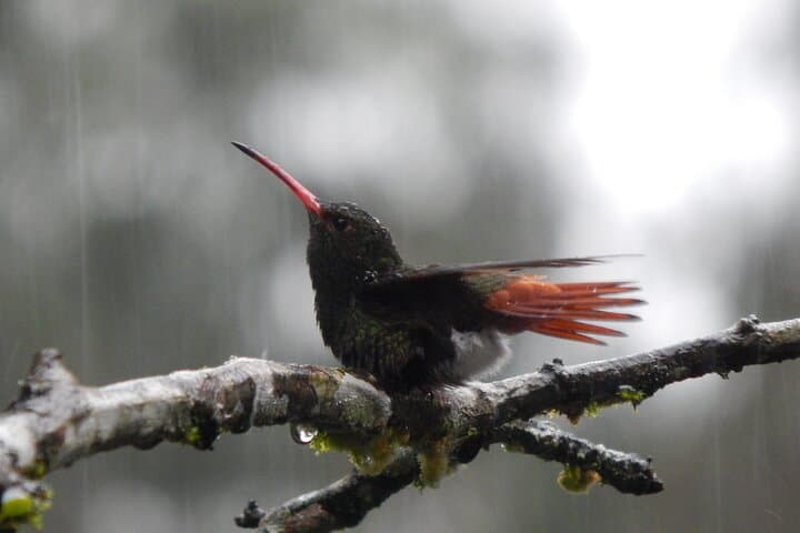 Andes to Amazon: 6-Day Multisport Adventure in Ecuador photo 2