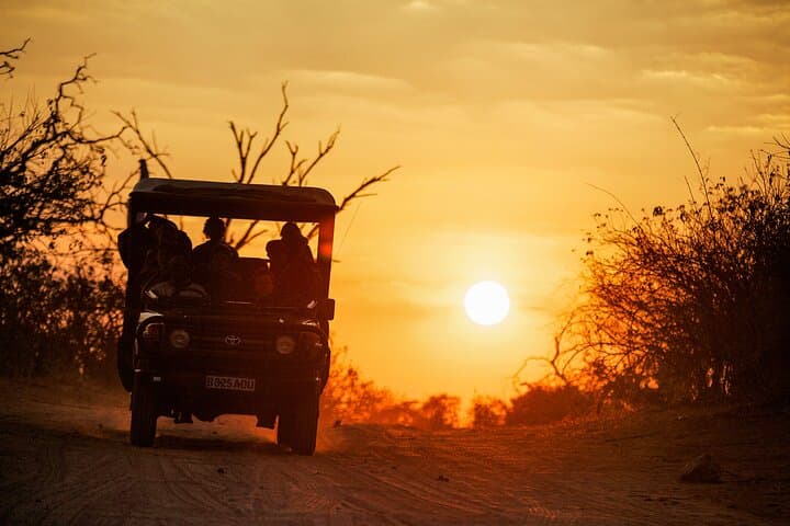 7-Day Luxury Safari: Chobe, Okavango Delta & Victoria Falls Adventure