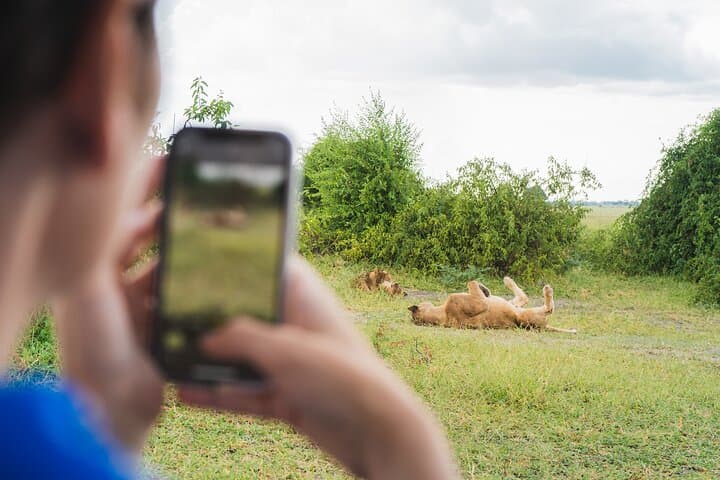 7-Day Luxury Safari: Chobe, Okavango Delta & Victoria Falls Adventure photo 5