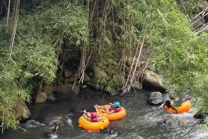 Grenada River Tubing & Annandale Falls — Island Waters Nature Experience photo 2