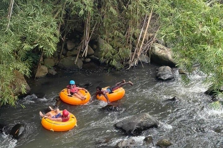 Grenada River Tubing & Annandale Falls — Island Waters Nature Experience photo 3