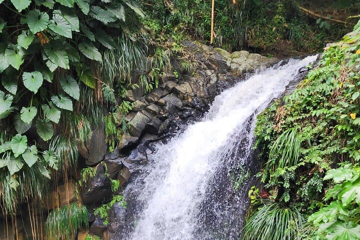 Grenada River Tubing & Annandale Falls — Island Waters Nature Experience photo 4