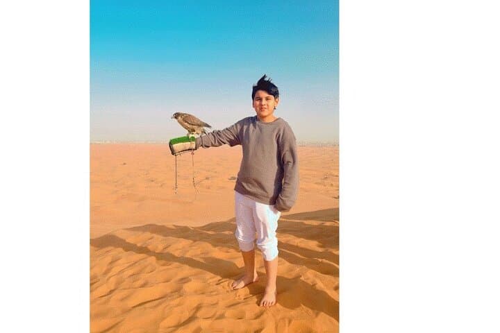 5-Star Luxury Desert Safari in Dubai: Dinner, Dune Bashing & Live Shows