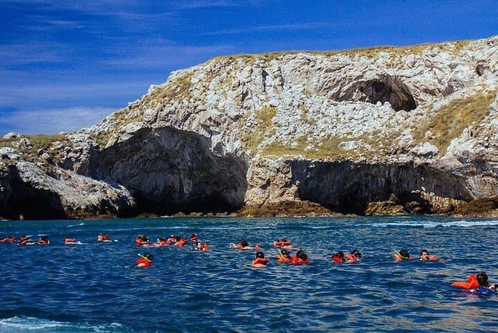 Marietas Islands Snorkeling: Hidden Beach, Wildlife & Open-Bar Boat Cruise photo 4
