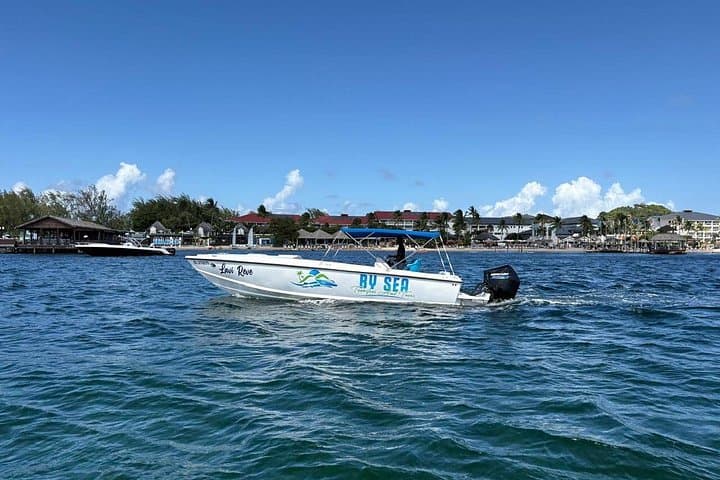 St Lucia Speedboat Airport Transfer — 45-Min Private Transfer to Rodney Bay photo 1