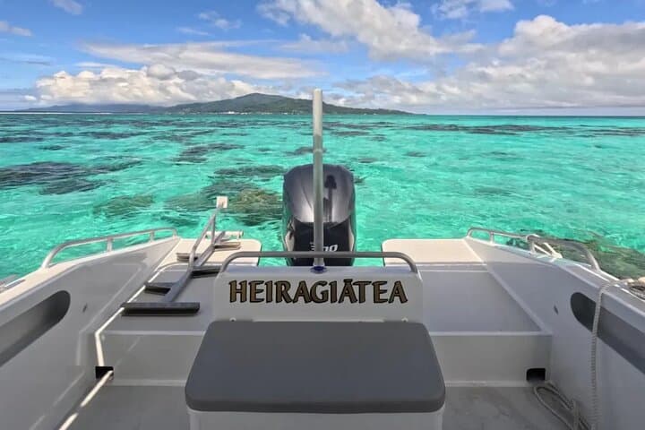 Half-Day Expedition Fishing in Raiatea & Taha'a — Lagoon Angling with a Local Captain photo 5