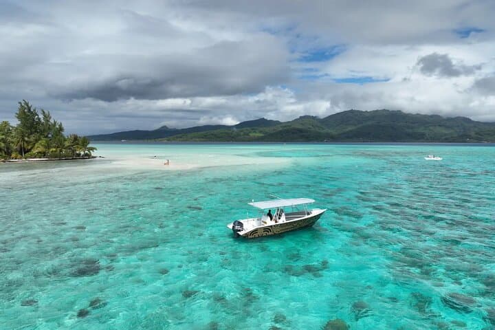 Half-Day Expedition Fishing in Raiatea & Taha'a — Lagoon Angling with a Local Captain photo 6