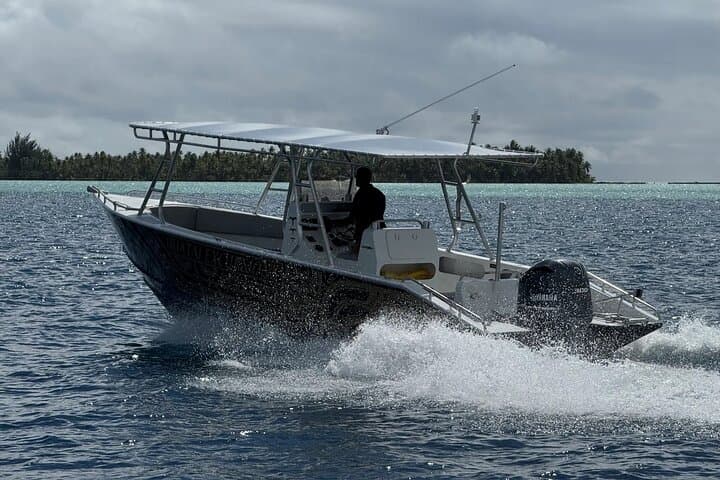 Half-Day Expedition Fishing in Raiatea & Taha'a — Lagoon Angling with a Local Captain photo 4