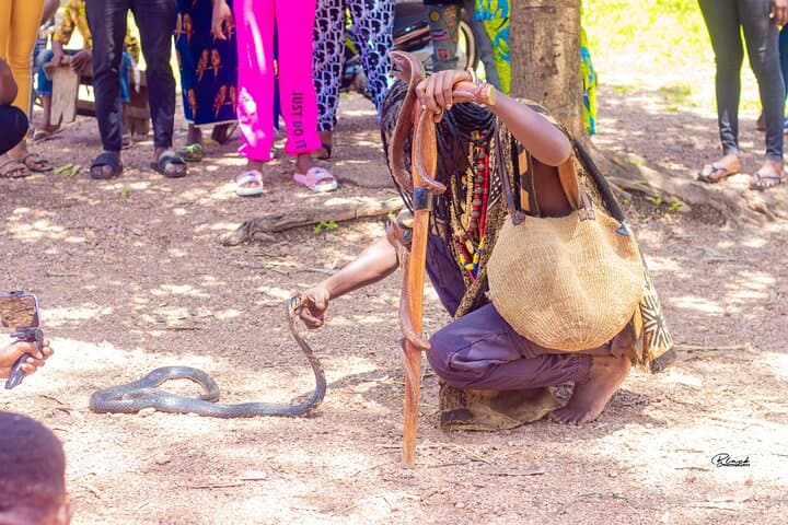 Natitingou Waterfalls, Tata Somba Villages & Wildlife Sanctuary Tour photo 5