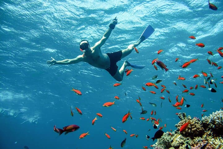 Sharm El Sheikh Snorkel Cruise to Ras Mohammed & White Island photo 6