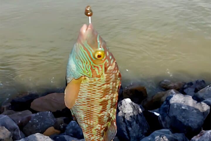 Private Atlantic Surfcasting Tour from Casablanca to Bouznika: Coastal Fishing Experience photo 4