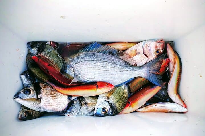 Private Atlantic Surfcasting Tour from Casablanca to Bouznika: Coastal Fishing Experience photo 3