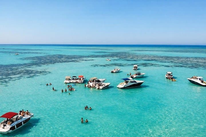 Private El Gouna Speedboat: Swim with Dolphins & Bayoud Island Snorkel photo 4