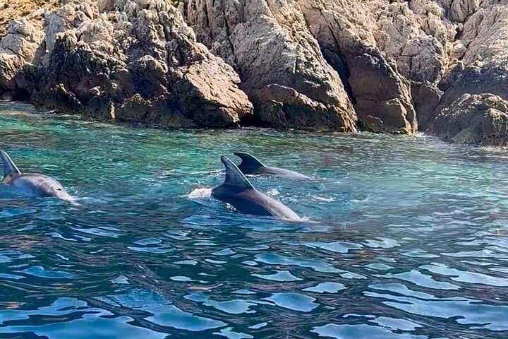 Sail Tavolara & Molara Marine Protected Area: Snorkel Molara's Pools and Enjoy an Aperitif photo 2