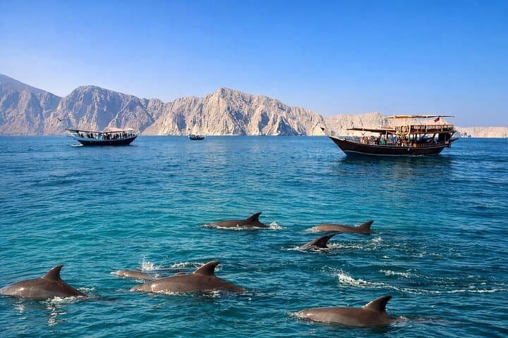 Private Musandam Dhow Cruise from Khasab — Dolphins, Telegraph Island & Snorkeling photo 2