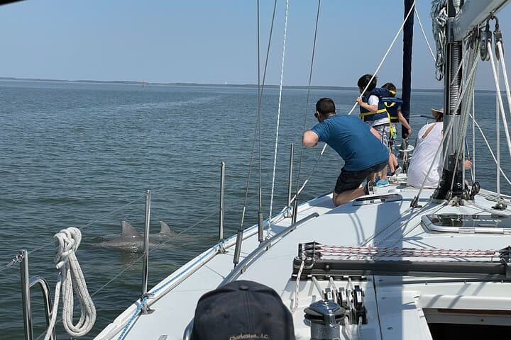 Hilton Head Island Afternoon Dolphin Sail — Small-Group Wildlife & Hands-On Sailing photo 4