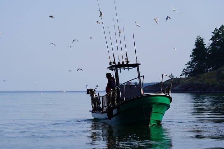 Family-Friendly Fishing Charters in Campbell River — Private Trips from Quadra Island