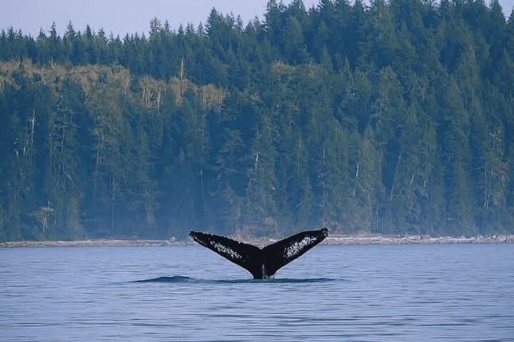 Family-Friendly Fishing Charters in Campbell River — Private Trips from Quadra Island photo 6