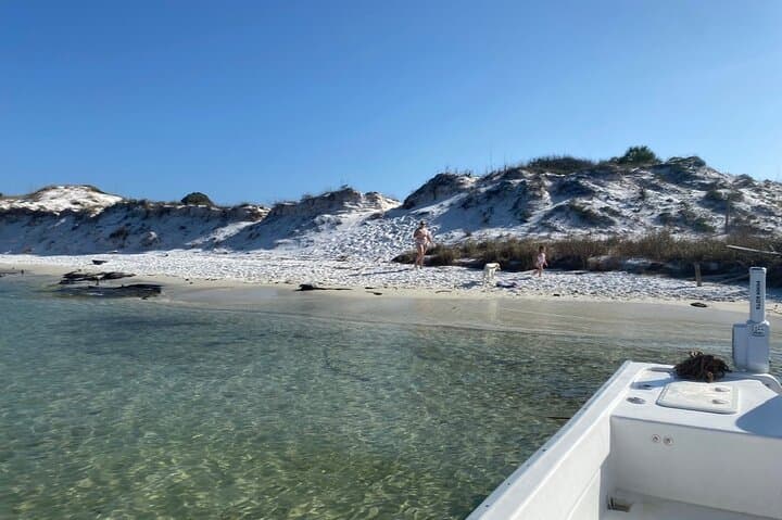 Snorkel with Dolphins and Explore Shell Island — 3-Hour Tour from Panama City Beach photo 4