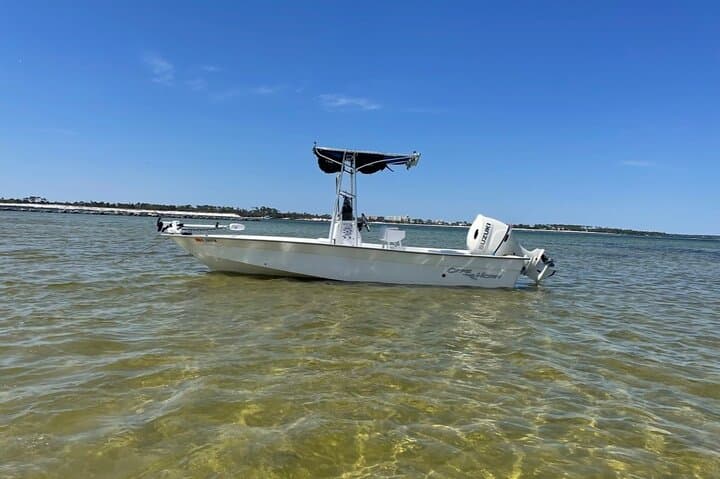 Snorkel with Dolphins and Explore Shell Island — 3-Hour Tour from Panama City Beach photo 2