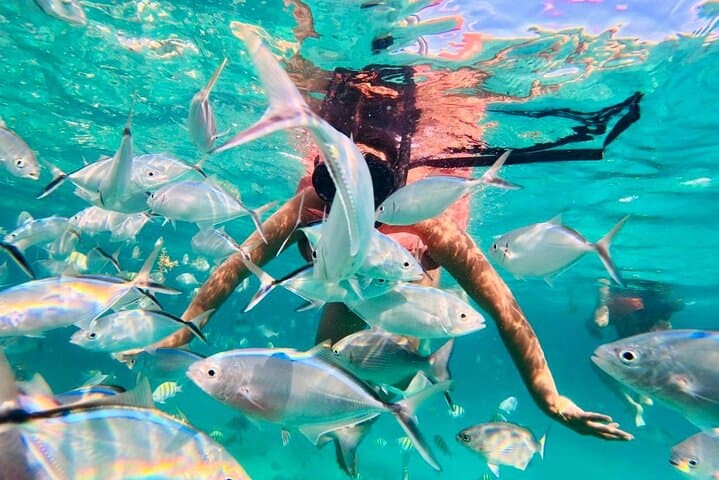 Punta Cana Coral Reef Snorkeling: Guided Snorkel Tour photo 5