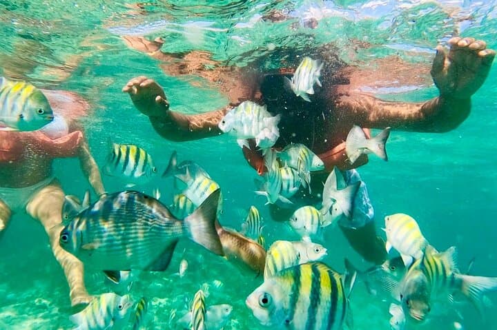 Punta Cana Coral Reef Snorkeling: Guided Snorkel Tour photo 6