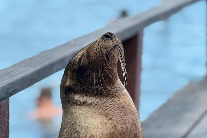 5-Day Galapagos Island Hopping: Snorkel, Tortoises & Volcanic Landscapes photo 1