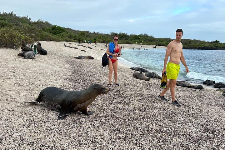 5-Day Galapagos Island Hopping: Snorkel, Tortoises & Volcanic Landscapes photo 2