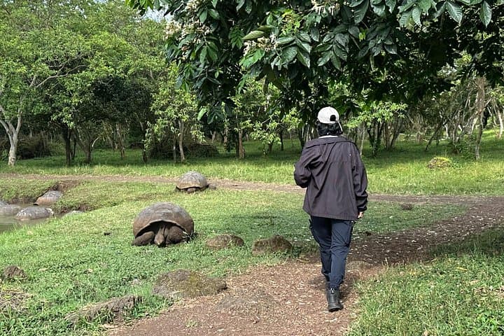 5-Day Galapagos Island Hopping: Snorkel, Tortoises & Volcanic Landscapes photo 3