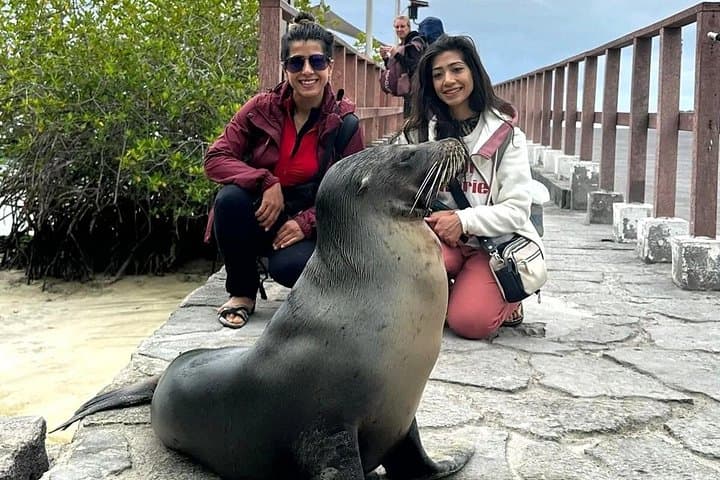 5-Day Galapagos Island Hopping: Snorkel, Tortoises & Volcanic Landscapes photo 4