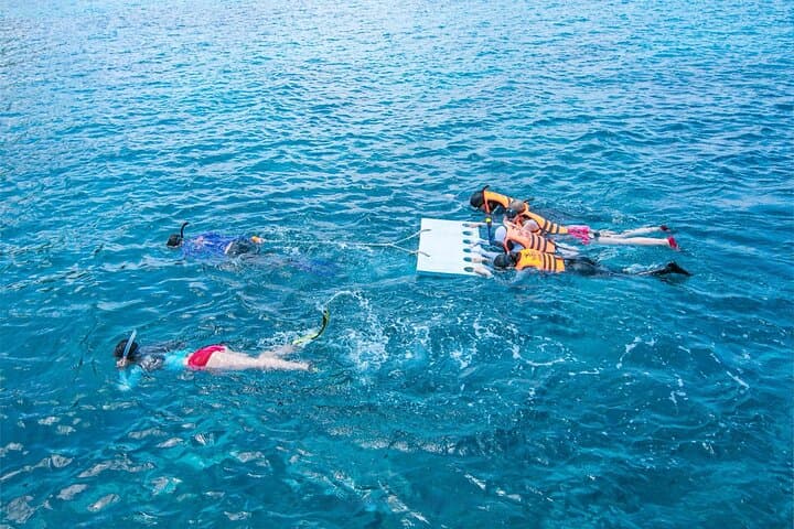 Phi Phi & Maiton Island Sunset Snorkeling from Phuket — Full-Day Andaman Cruise photo 5
