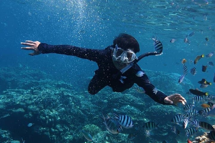 Nusa Penida West Snorkeling & Iconic Beaches — Full-Day Tour from Seminyak photo 4