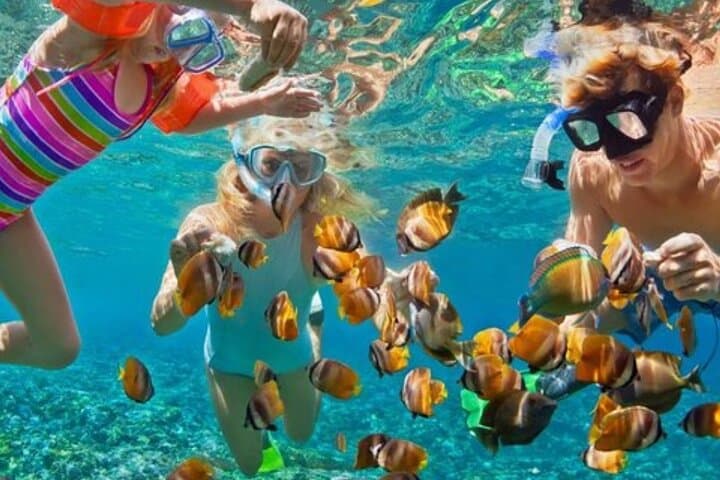 Punta Cana Adults-Only Catamaran Party: Snorkel, Natural Pool & Open Bar photo 6