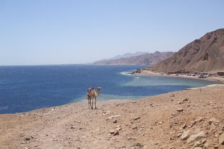Blue Hole Snorkeling Adventure from Dahab — The Bells, Reef Tips & What to Expect photo 2