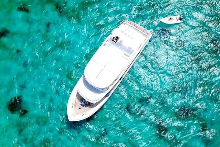 Snorkel with Dolphins at Dolphin House — Hurghada Yacht Trip