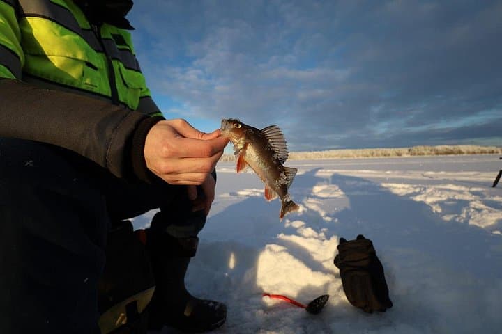 Ice Fishing & Winter BBQ in the Finnish Wilderness — Snowshoe to a Rovaniemi Lake photo 5