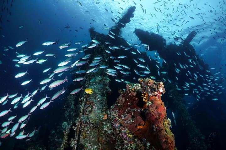 Snorkel the USAT Liberty and Explore Taman Ujung: East Bali Full-Day Tour photo 3