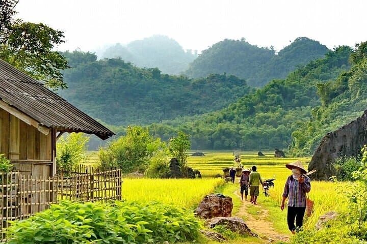 Pu Luong Nature Reserve: 2-Day Trek, Bamboo Raft & Village Homestay from Hanoi photo 5