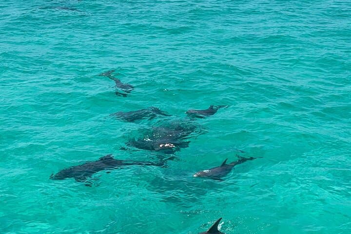 Captained Crab Island Charter: Destin Boat Tours, Snorkel & Sandbar Excursions photo 2