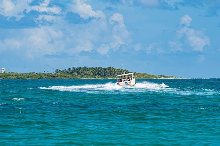 Private Isla Contoy and Isla Mujeres Snorkel & Birdwatching Day Trip from Cancun photo 2