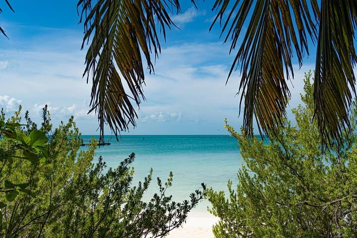 Private Isla Contoy and Isla Mujeres Snorkel & Birdwatching Day Trip from Cancun photo 4
