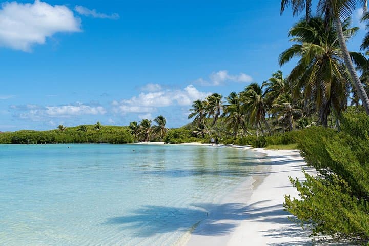 Private Isla Contoy and Isla Mujeres Snorkel & Birdwatching Day Trip from Cancun