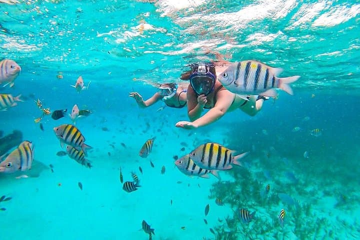 Private Isla Contoy and Isla Mujeres Snorkel & Birdwatching Day Trip from Cancun photo 5
