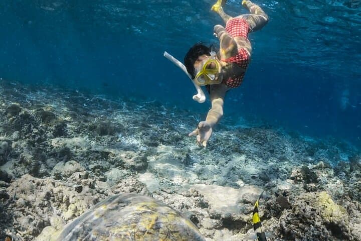 Blue Lagoon Bali: Guided Snorkeling with Gear Included