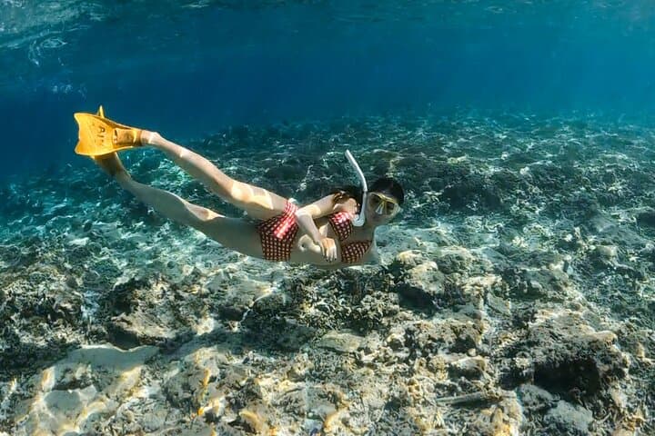 Blue Lagoon Bali: Guided Snorkeling with Gear Included photo 2