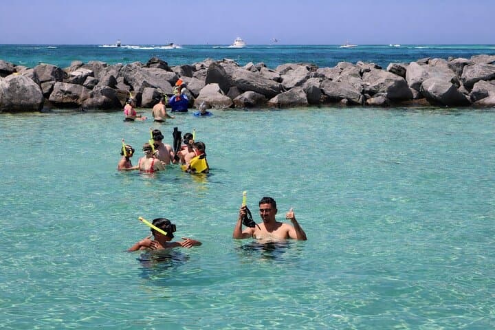 Shell Island Snorkel and Dolphin Tour from Panama City Beach
